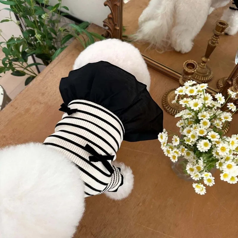 Luxury Dog Dress Bowknot Lace Summer Puppy Clothes Dog Skirts Cotton Dog T Shirt Girls Dog Costume Chihuahua Bichon Dog Apparel