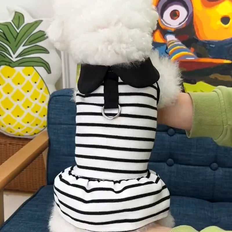 Luxury Dog Dress Bowknot Lace Summer Puppy Clothes Dog Skirts Cotton Dog T Shirt Girls Dog Costume Chihuahua Bichon Dog Apparel