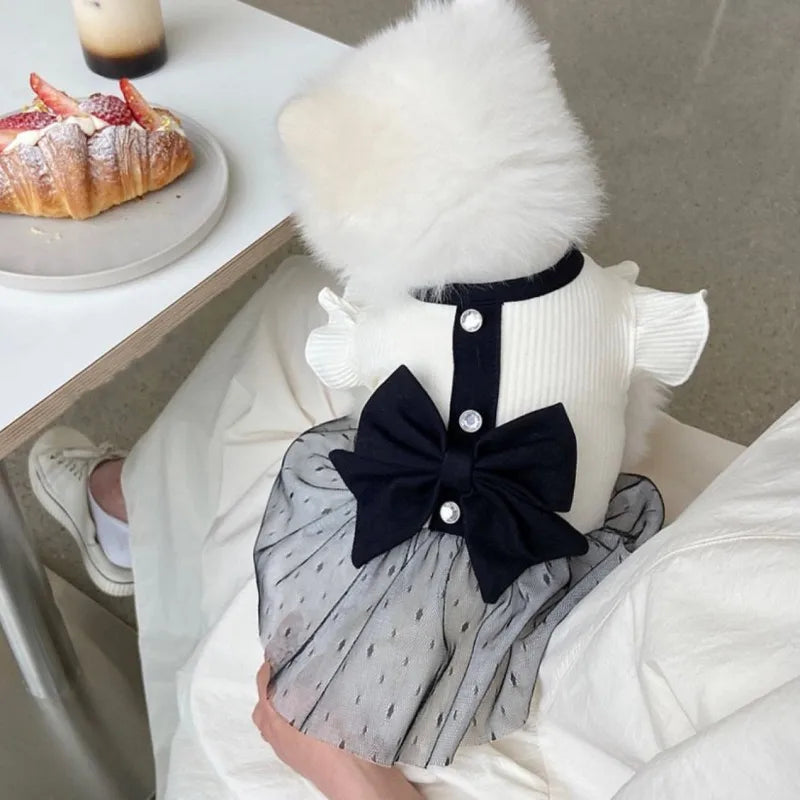 Luxury dog dress