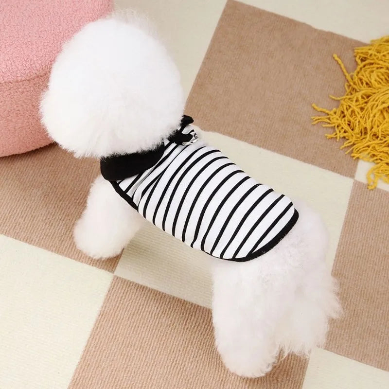 Luxury Dog Dress Bowknot Lace Summer Puppy Clothes Dog Skirts Cotton Dog T Shirt Girls Dog Costume Chihuahua Bichon Dog Apparel
