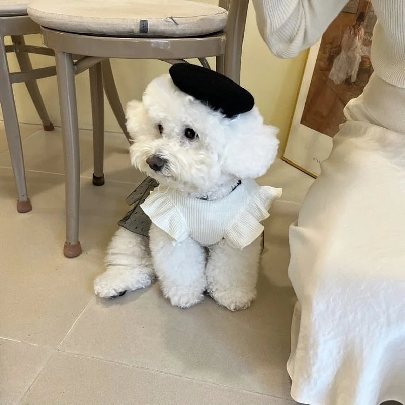 Luxury dog dress