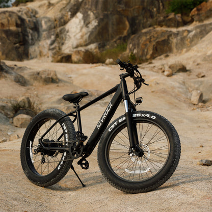 Professional 1000W Fat Tire Electric Bike 26" for Adults